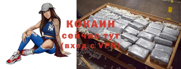 индика Алексин