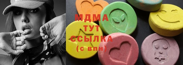 индика Алексин