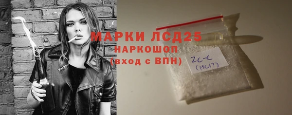 индика Алексин