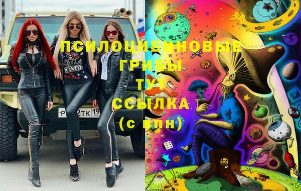 индика Алексин