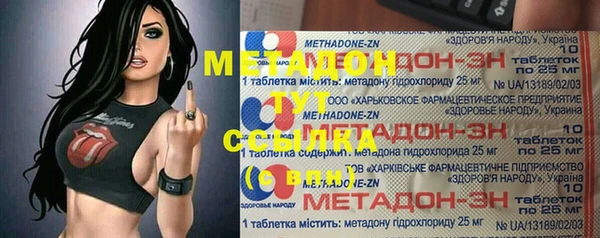 индика Алексин