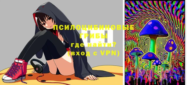 ешки Алзамай