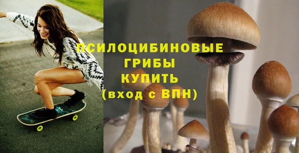 ешки Алзамай