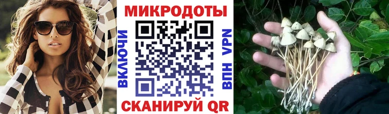 Псилоцибиновые грибы Psilocybe  Кизел 