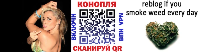 Каннабис White Widow Кизел